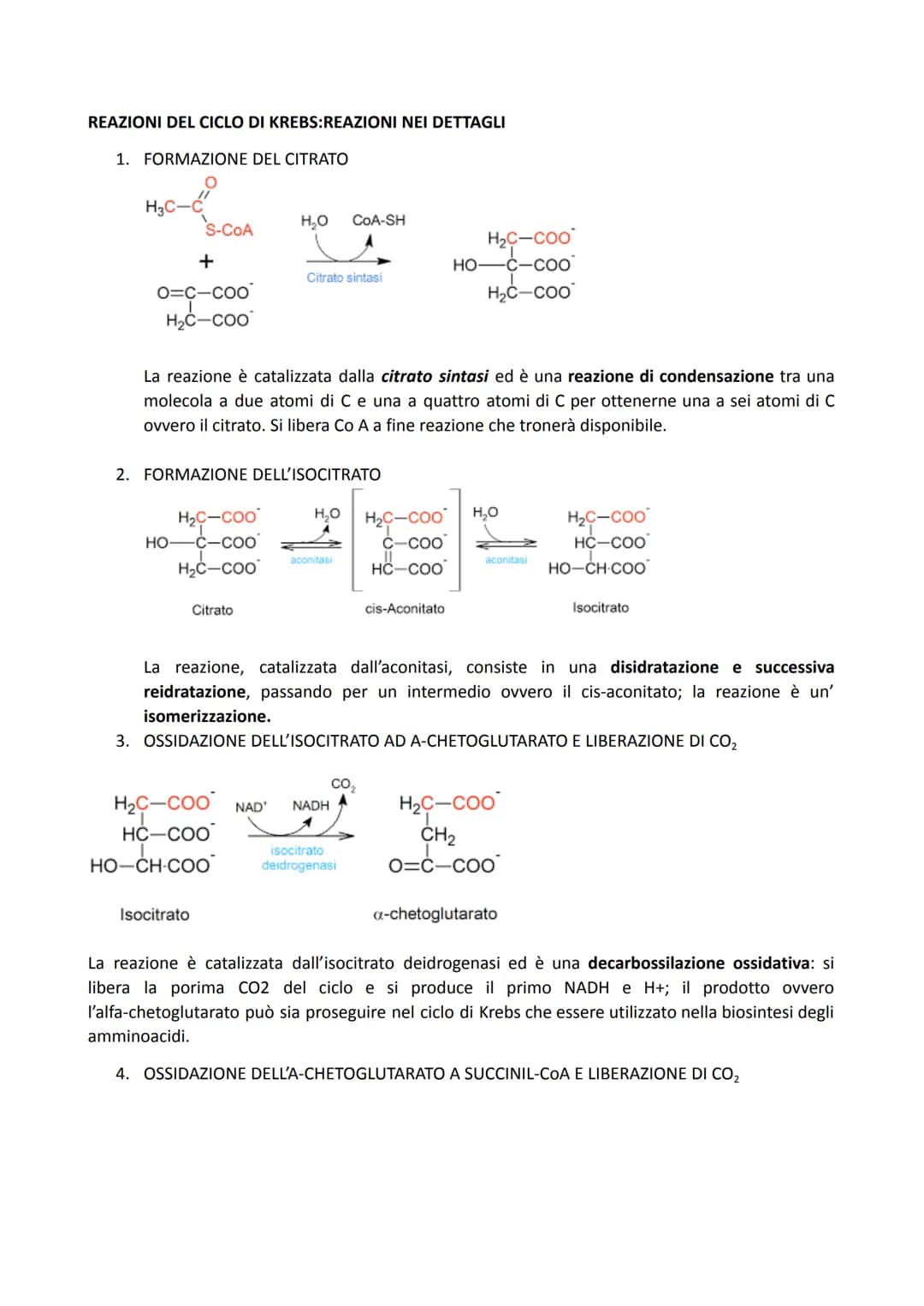 # IL CICLO DI KREBS
PREPARAZIONE: FORMAZIONE DELL'ACETIL COENZIMA A
La via glicolitica ha prodotto, come visto, 2 molecole di piruvato. Il