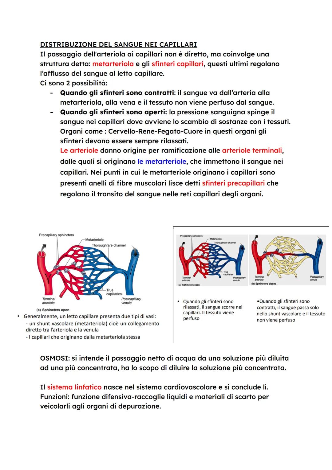 # L'APPARATO CARDIOVASCOLARE
L'apparato cardiovascolare trasporta nel sangue i materiali da e verso
tutte le regioni corporee per assicurar