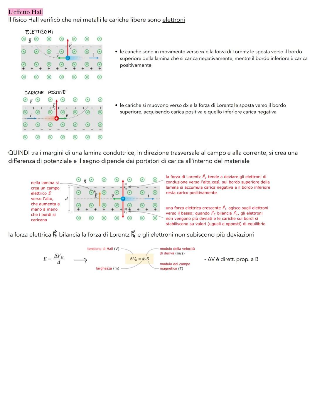 Fenomeni magnetici fondamentali
I magneti e le linee del campo magnetico
materiali ferromagnetici: materiali che possono essere magnetizzati