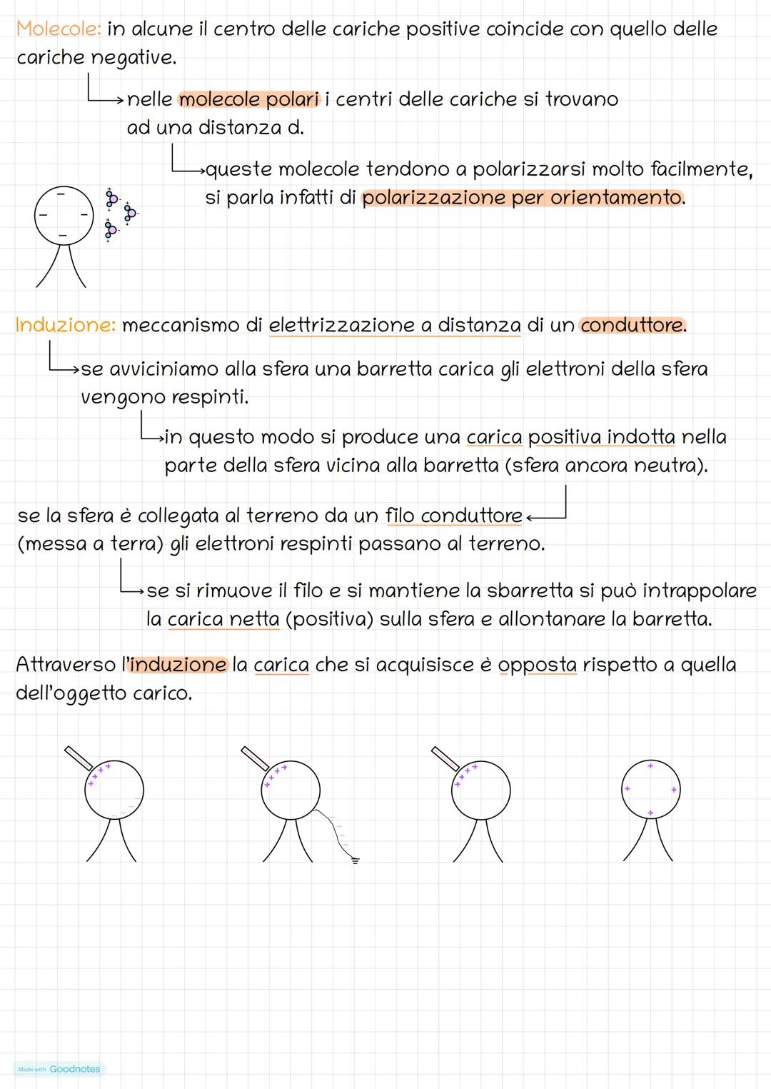 # Forze e campi elettrici
La carica elettrica
Due tipi di carica
Greci: notarono che l'ambra, se viene strofinata con la pelliccia animal