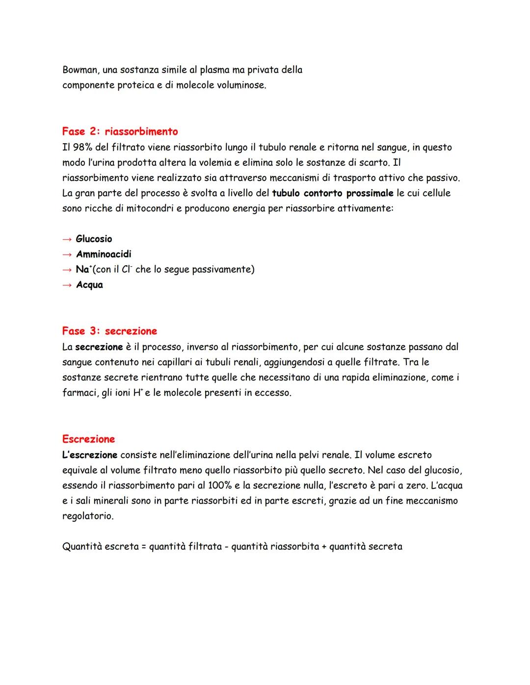 Arteria Renale
Vena Renale
Costole
Rene Sinistro
Panoramica
L'apparato urinario/escretore, spesso considerato assieme
a quello genitale per