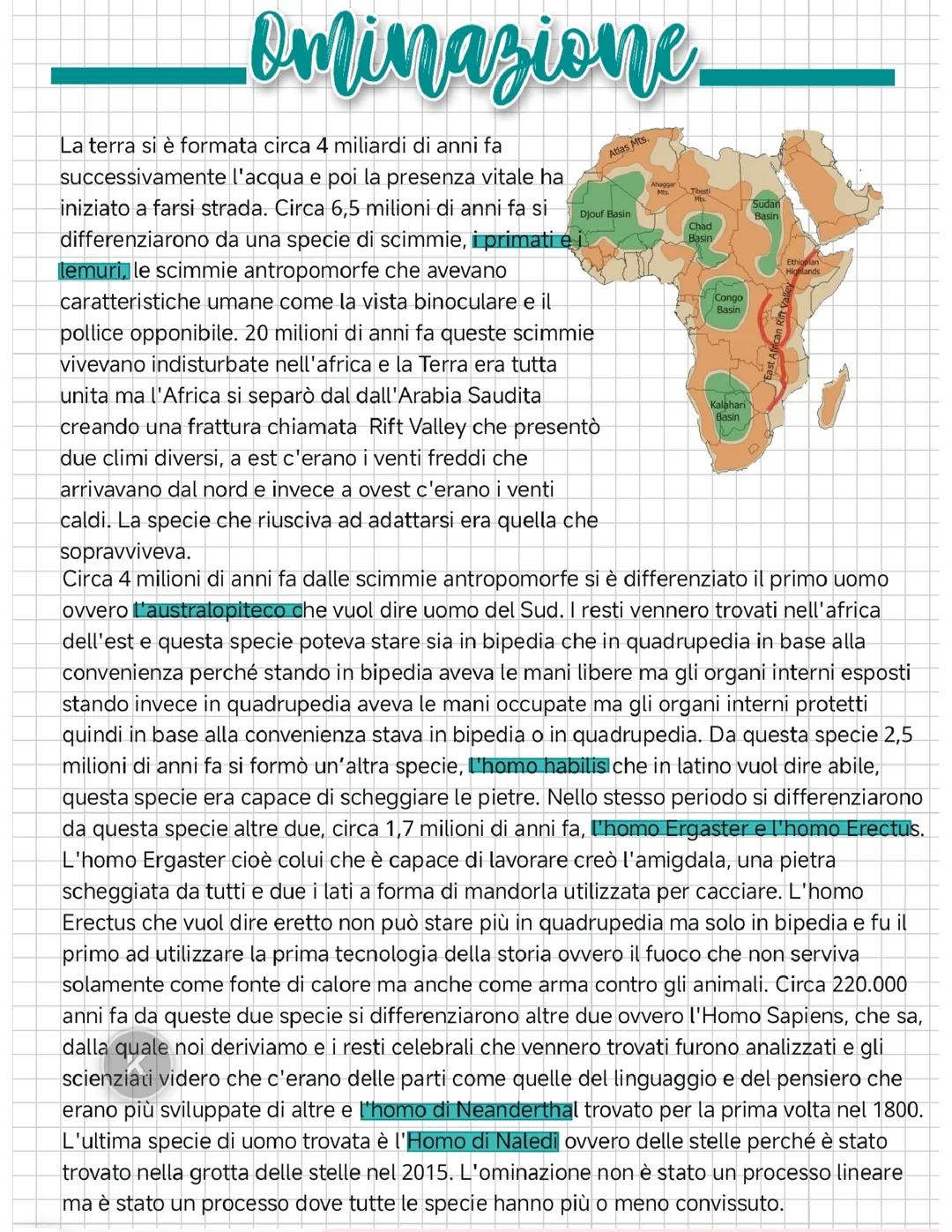 Ominazione e preistoria