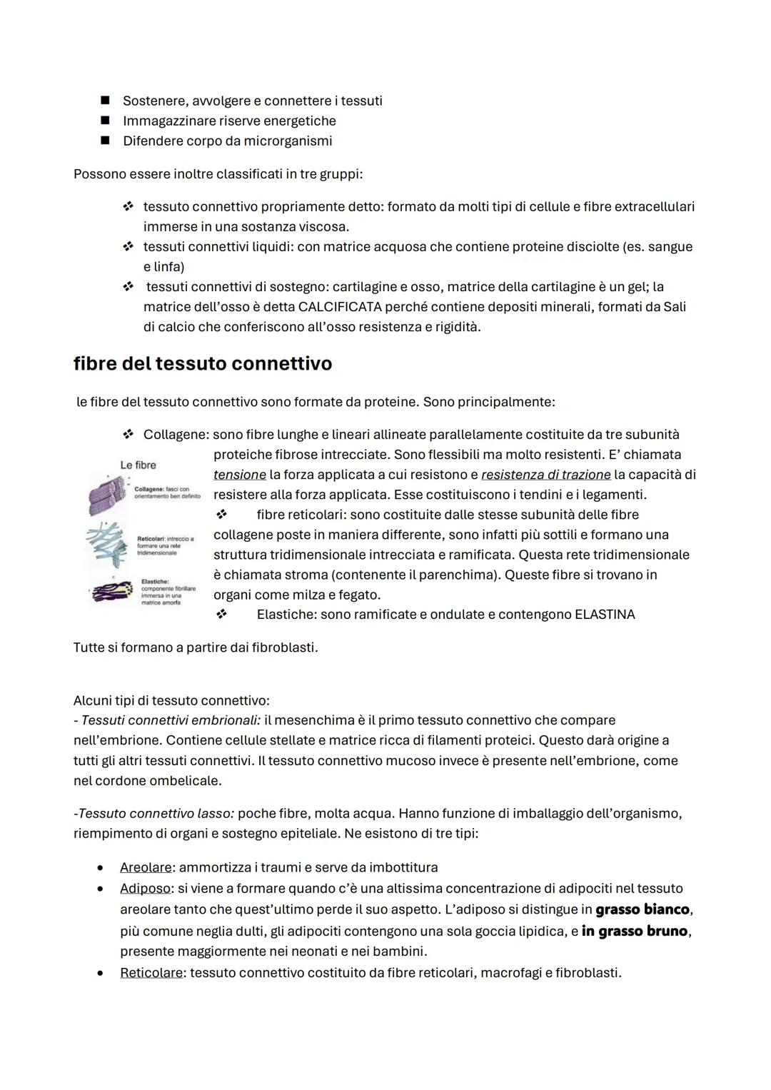 ΑΝΑΤΟΜΙΑ
Anatomia umana -2
Tessuto epiteliale -6
Tessuto connettivo -9
Le membrane -12
Tessuto muscolare -13
Tessuto nervoso -14
Apparato te