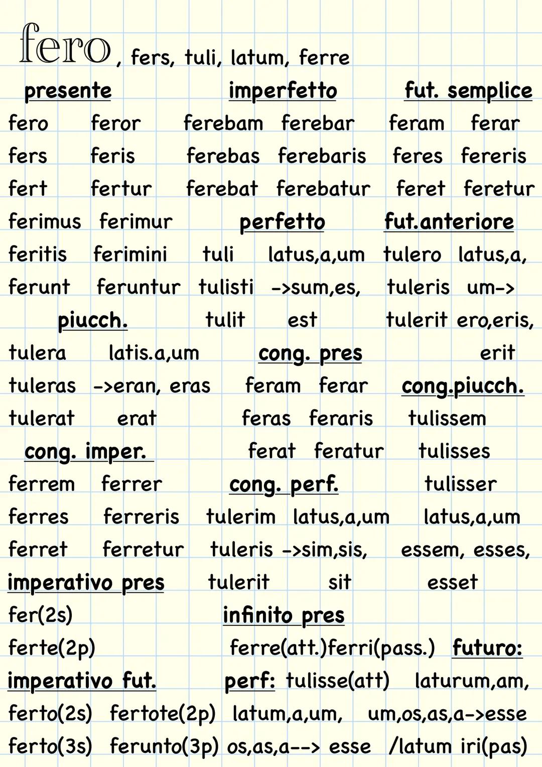 la grammatica
latina le 5 declinazioni
1 declinazione
2 declinazione
a
ae
us
i
um
a
ae
arum
-
orum
i
orum
ae
is
0
is
о
is
am
as
um
S
um
a
a