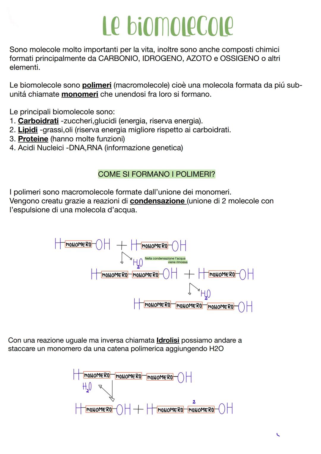 # Le biomolecole
Sono molecole molto importanti per la vita, inoltre sono anche composti chimici
formati principalmente da CARBONIO, IDROGE
