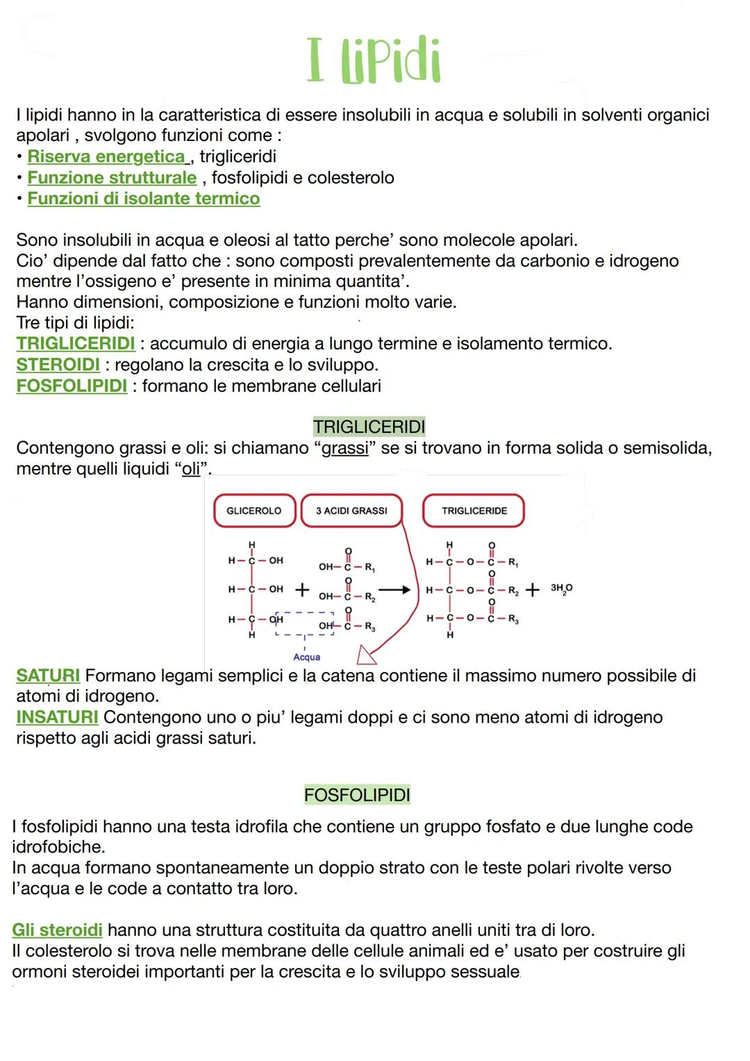 # Le biomolecole
Sono molecole molto importanti per la vita, inoltre sono anche composti chimici
formati principalmente da CARBONIO, IDROGE