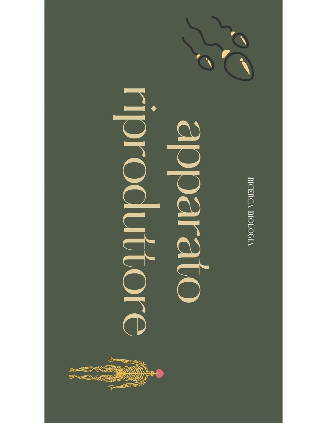 Apparato Riproduttore