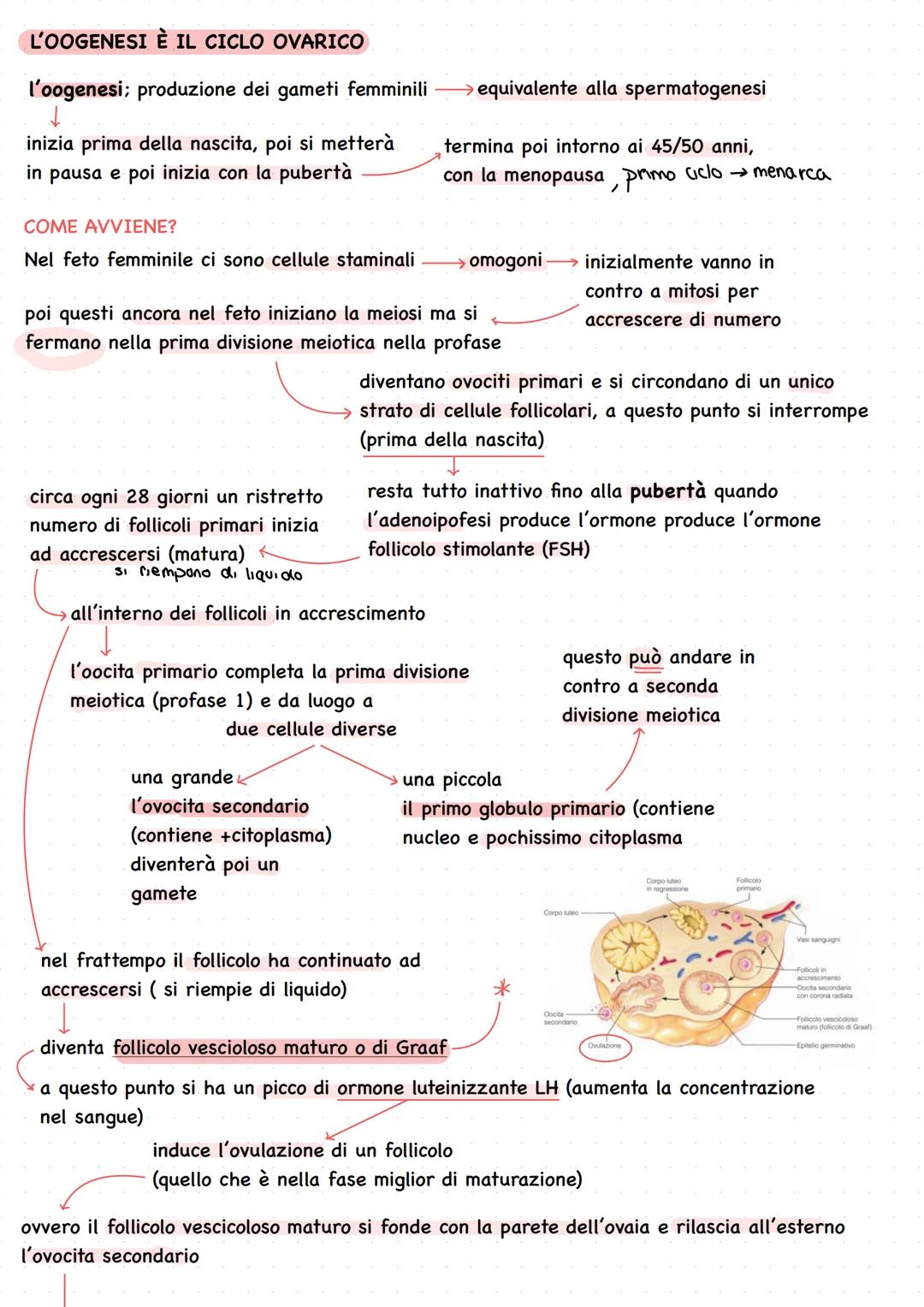 # Apparato genitale
L'umano si riproduce riproduzione sessuata Ovvero attraverso la meiosi e
• È presente fin dalla nascita ma se la fecon