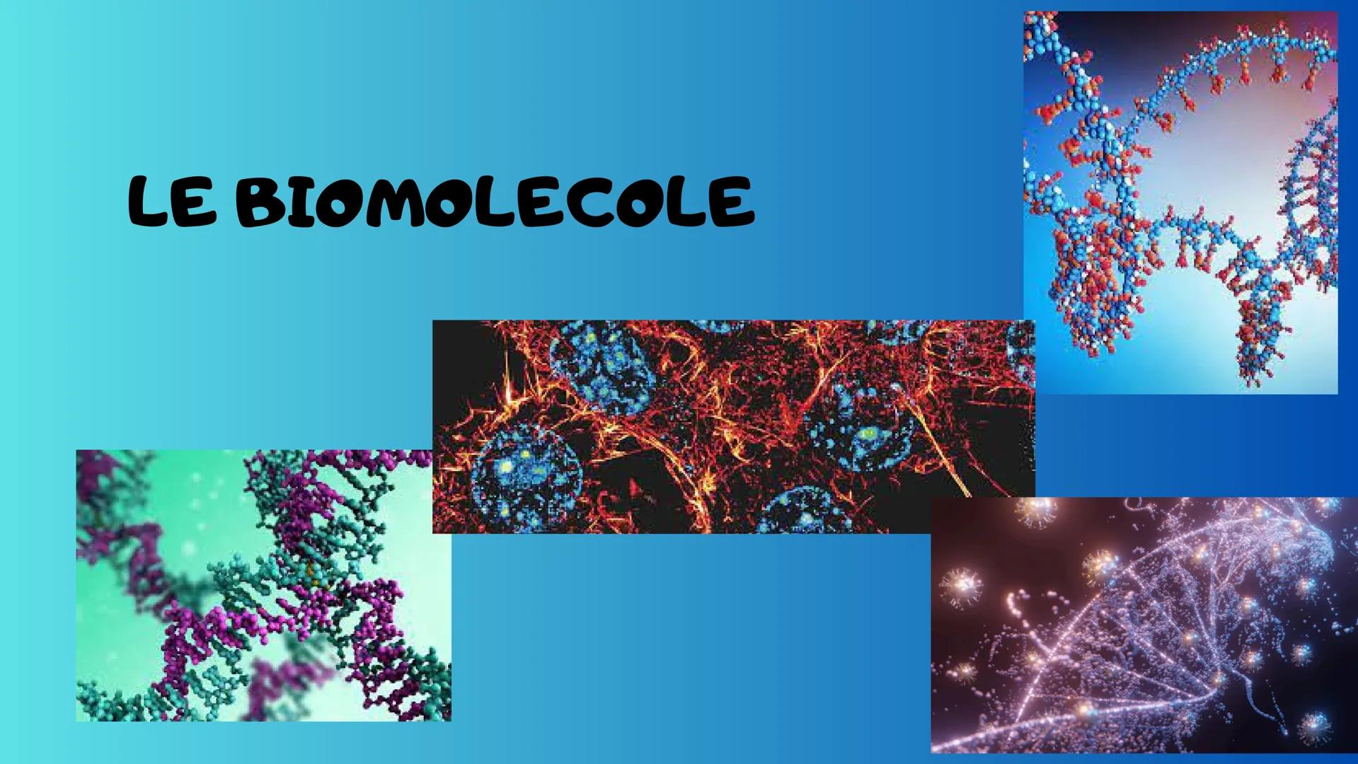 # LE BIOMOLECOLE Le Biomolecole sono molecole della vita
,sono sostanze che si trovano all'interno
degli esseri viventi .Le Biomolecole hann