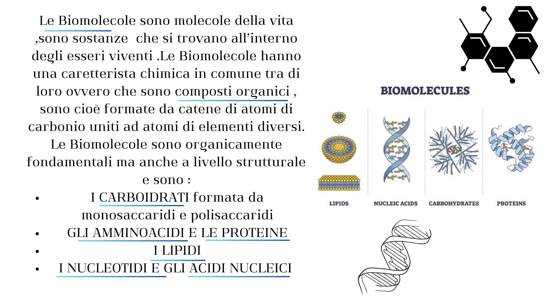 # LE BIOMOLECOLE Le Biomolecole sono molecole della vita
,sono sostanze che si trovano all'interno
degli esseri viventi .Le Biomolecole hann
