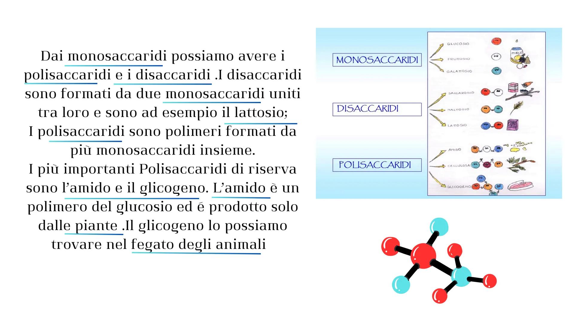 # LE BIOMOLECOLE Le Biomolecole sono molecole della vita
,sono sostanze che si trovano all'interno
degli esseri viventi .Le Biomolecole hann