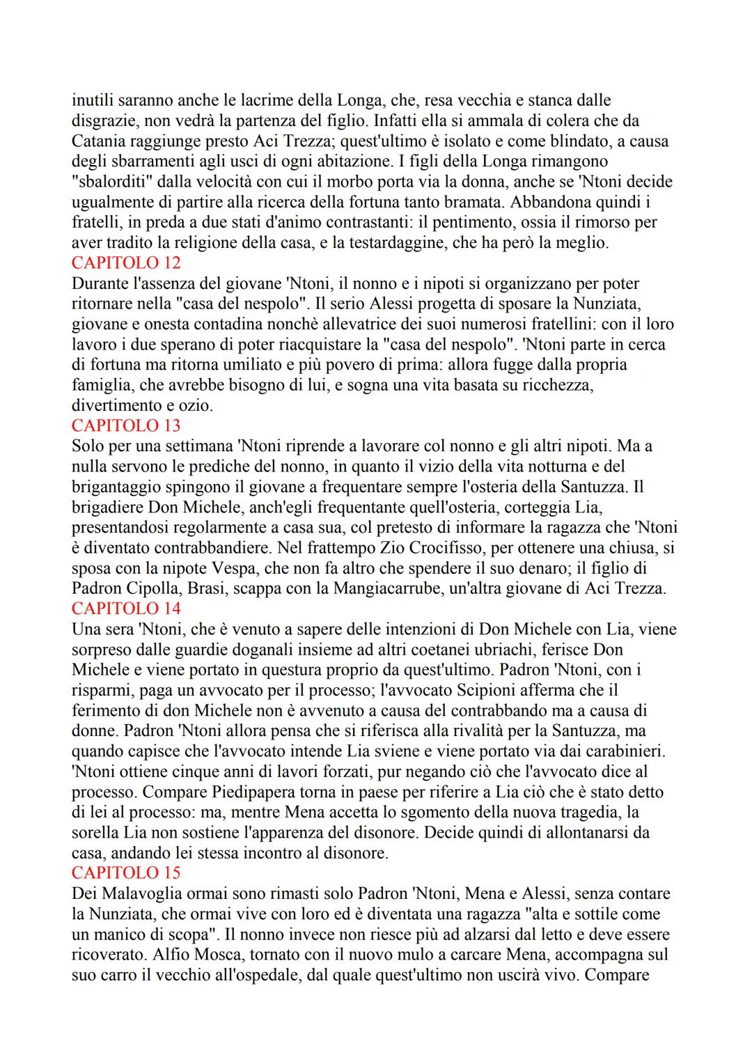 CAPITOLO 1
Il romanzo si apre con la descrizione della famiglia protagonista, che vive ad Aci
Trezza, un paesino di pescatori sulla costa or