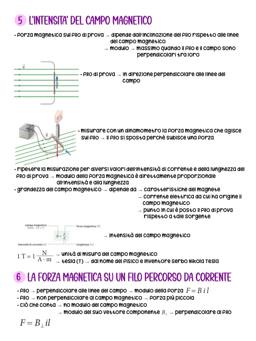 Carpo Magnetico
DUNA SCIENZA DI ORIGINI MEDIEVALI
- VI secolo a.c. → Città di Magnesia (in Turchia) → Greci scoprono esistenza di un
materia