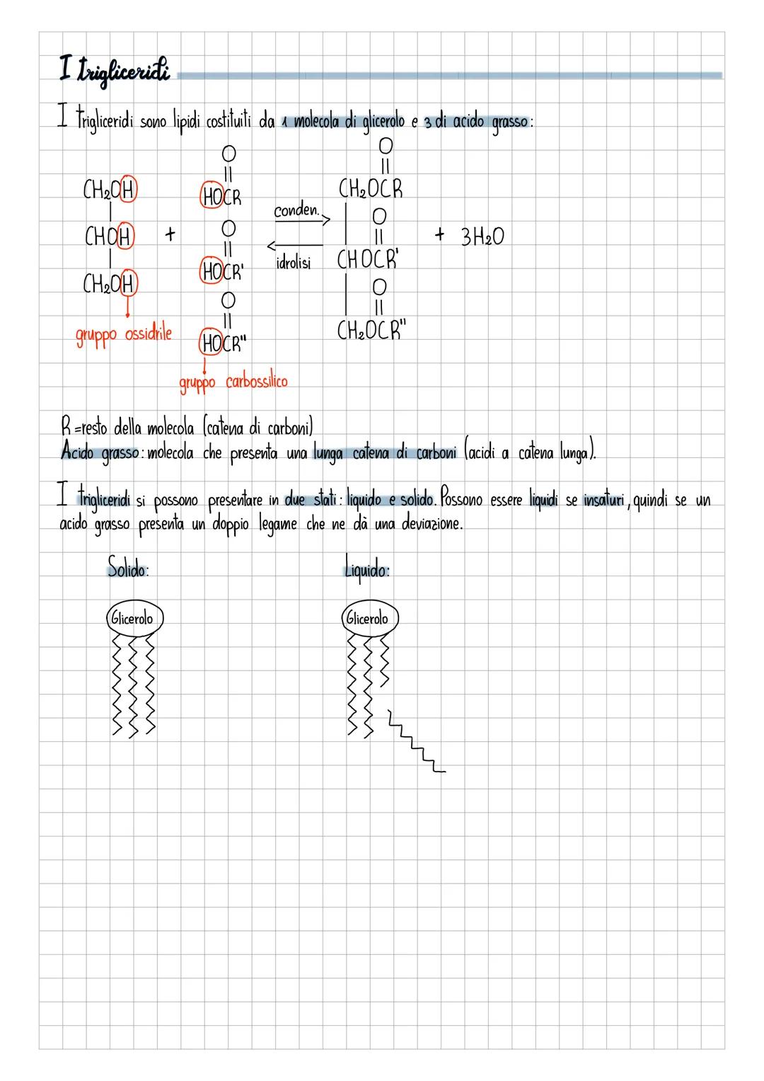 # I lipidi
I lipidi sono sostanze apolari, sono quindi insolubili in acqua (sostanza polare).
Jatte
-globuli di grasso
grasso
latte scr