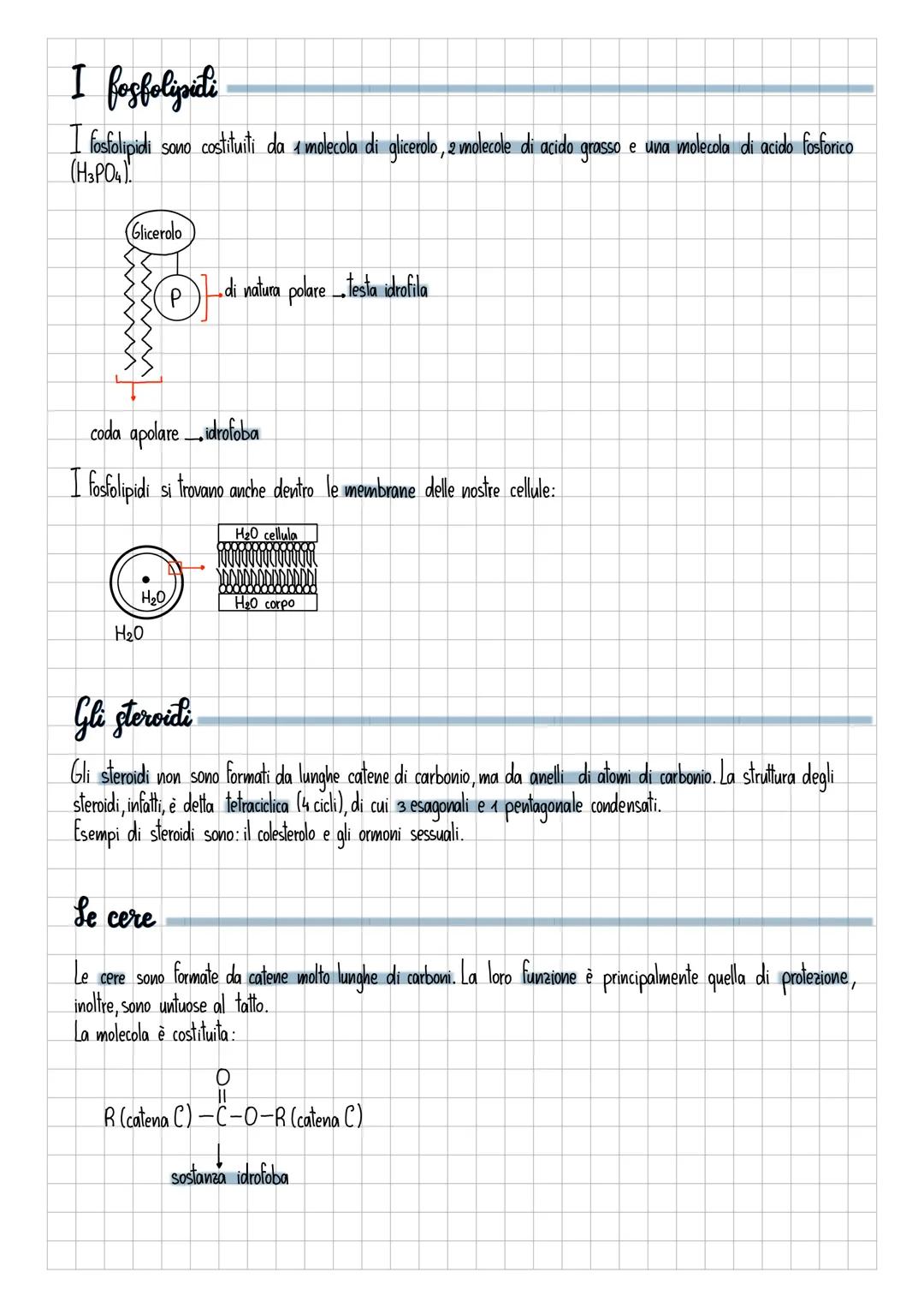 # I lipidi
I lipidi sono sostanze apolari, sono quindi insolubili in acqua (sostanza polare).
Jatte
-globuli di grasso
grasso
latte scr