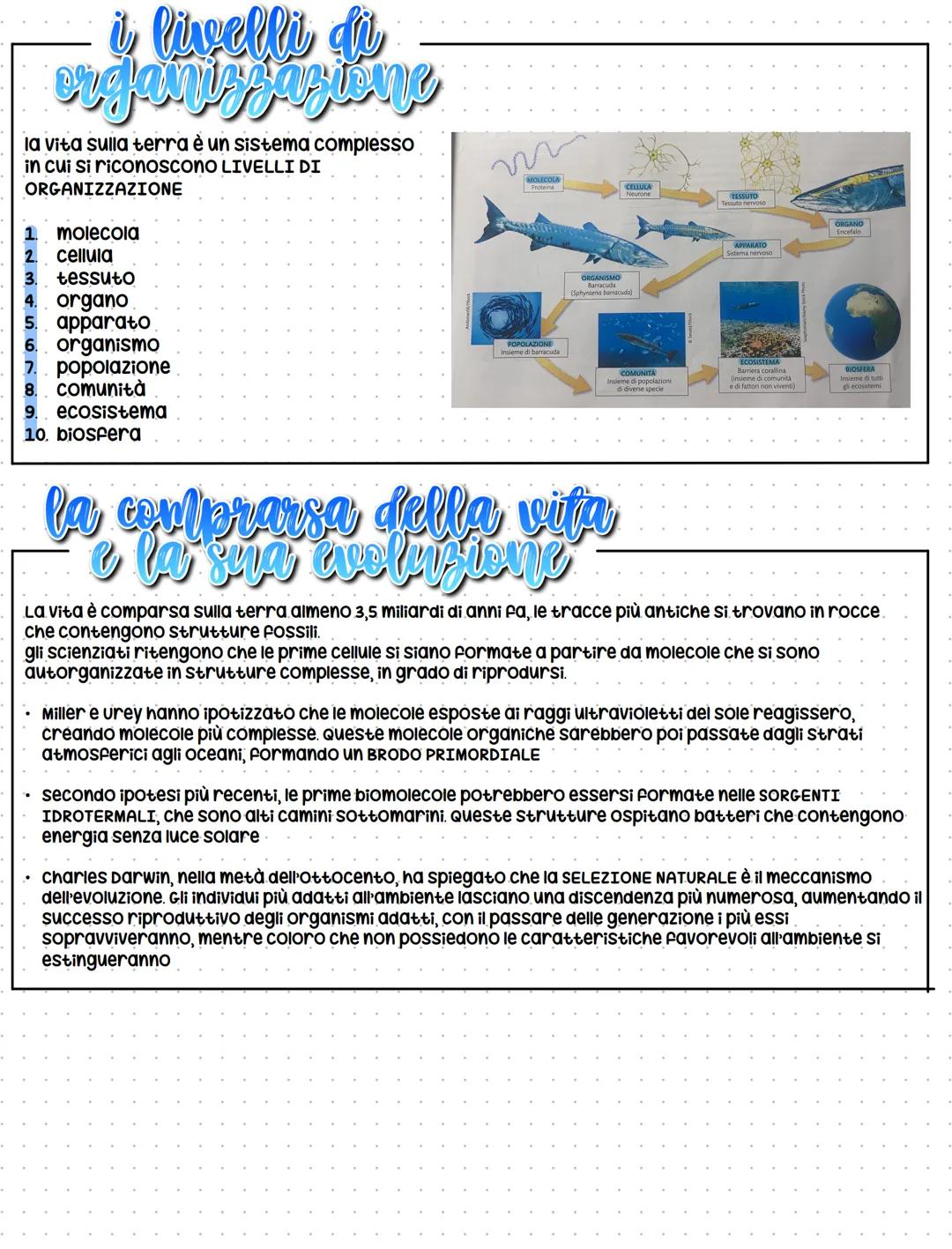biologia
la biologia è la scienza che studia gli esseri
Viventi e per essere definiti tali devono:
1. nascere
2. nutrirsi
3. respirare
4. mu