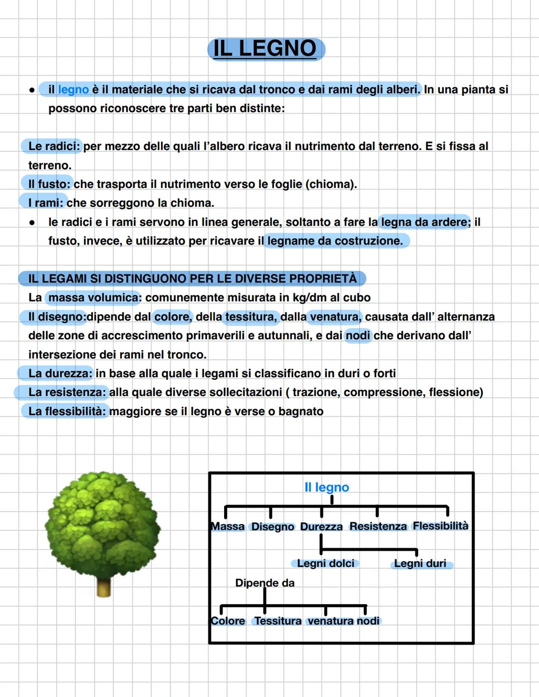 # IL LEGNO
* il legno è il materiale che si ricava dal tronco e dai rami degli alberi. In una pianta si
possono riconoscere tre parti ben