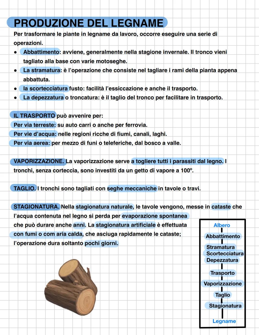 # IL LEGNO
* il legno è il materiale che si ricava dal tronco e dai rami degli alberi. In una pianta si
possono riconoscere tre parti ben