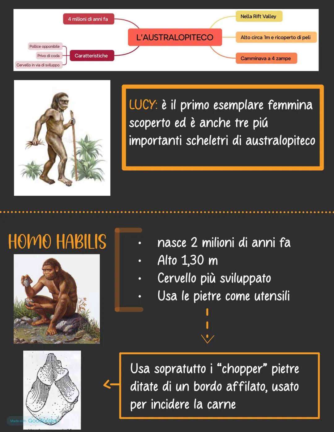 Preistoria
Periodo che va dalla comparsa dell'homo
habilis, ovvero 2,5 miloni di anni fa. Fino
all'invenzione della scrittura verso il
3000