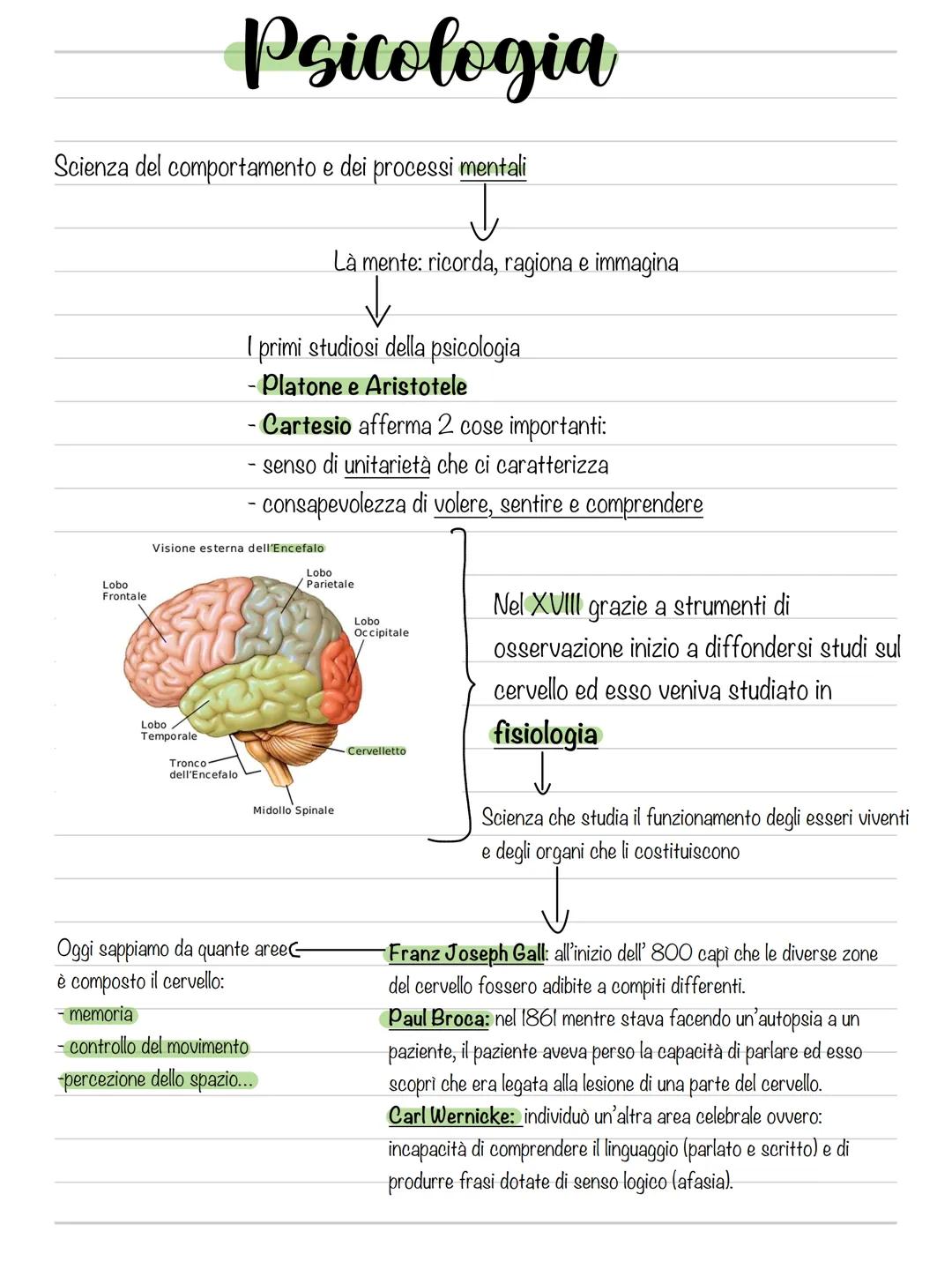 Scienze umane # Scienze naturali Scienze umane
Insieme di discipline scientifiche che studiano Insieme di discipline che studiano l'essere u