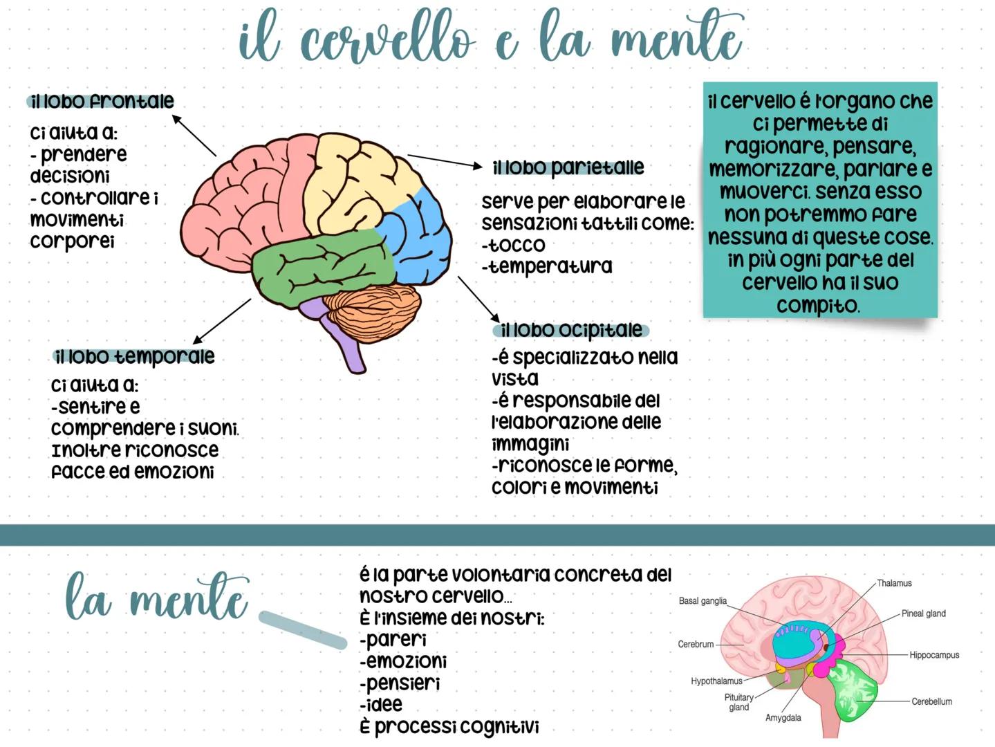 # che cosa รฉ la psicologia
la psicologia รฉ la scienza che studia la mente e il ragionamento
dell'uomo come individuo.
oltre alla psicologi