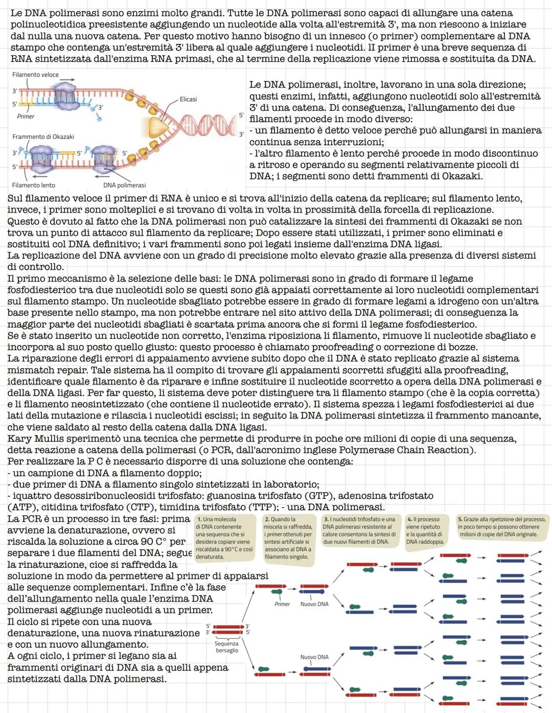 # Struttura e funzione del DNA
## IL RUOLO DEL DNA
La prima tappa che portò alla comprensione del ruolo del DNA fu l'isolamento da parte d
