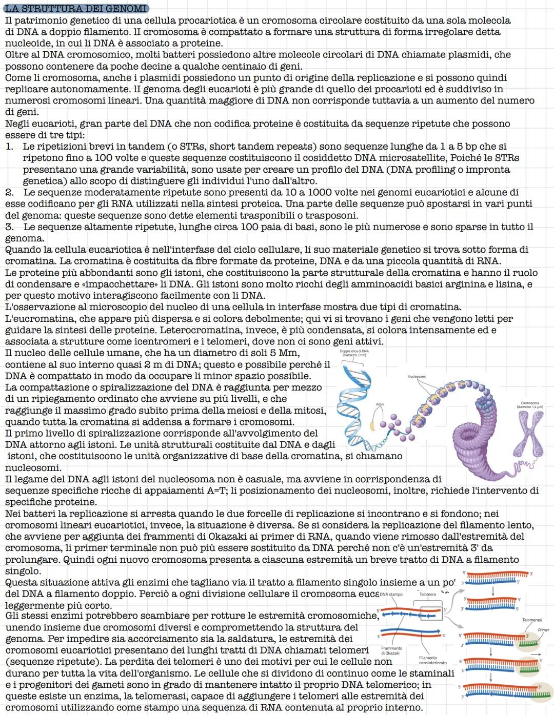# Struttura e funzione del DNA
## IL RUOLO DEL DNA
La prima tappa che portò alla comprensione del ruolo del DNA fu l'isolamento da parte d
