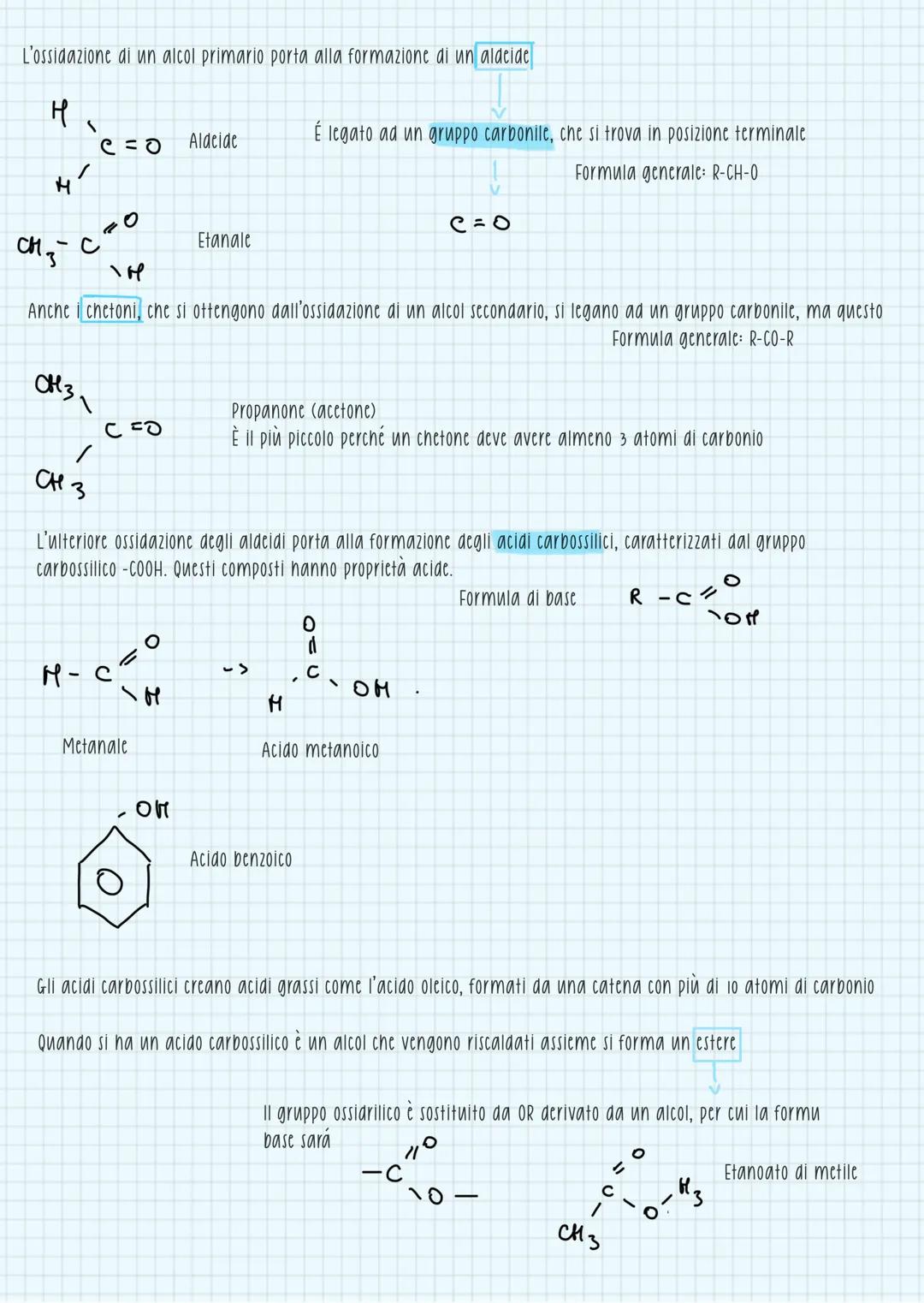 # chimica organica
È anche detta chimica del carbonio per il ruolo centrale che esso svolge nella composizione molecolare delle cellule.
I