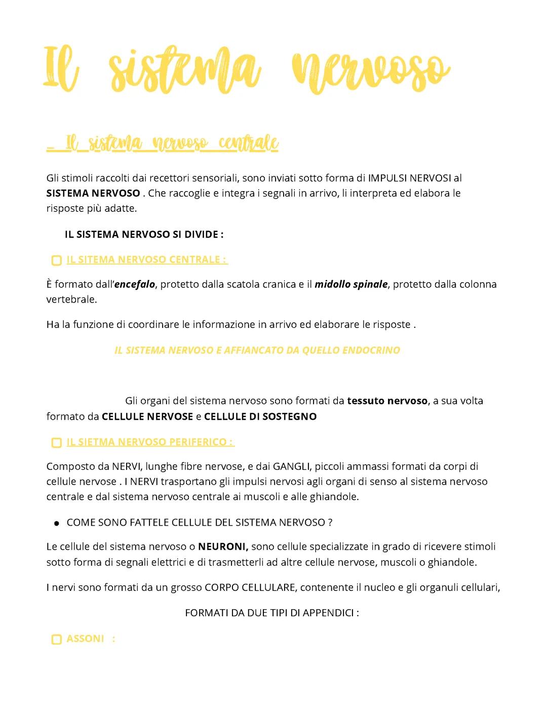 Il sistema nervoso ed endocrino