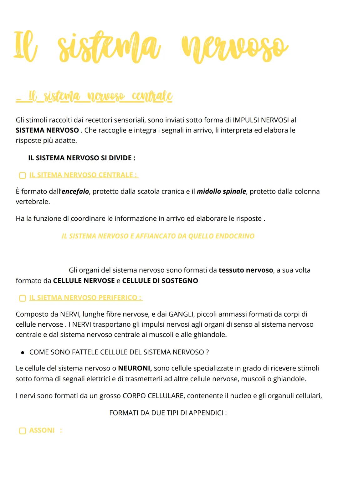 Il sistema nervoso
Il sistema nervoso centrale
Gli stimoli raccolti dai recettori sensoriali, sono inviati sotto forma di IMPULSI NERVOSI al