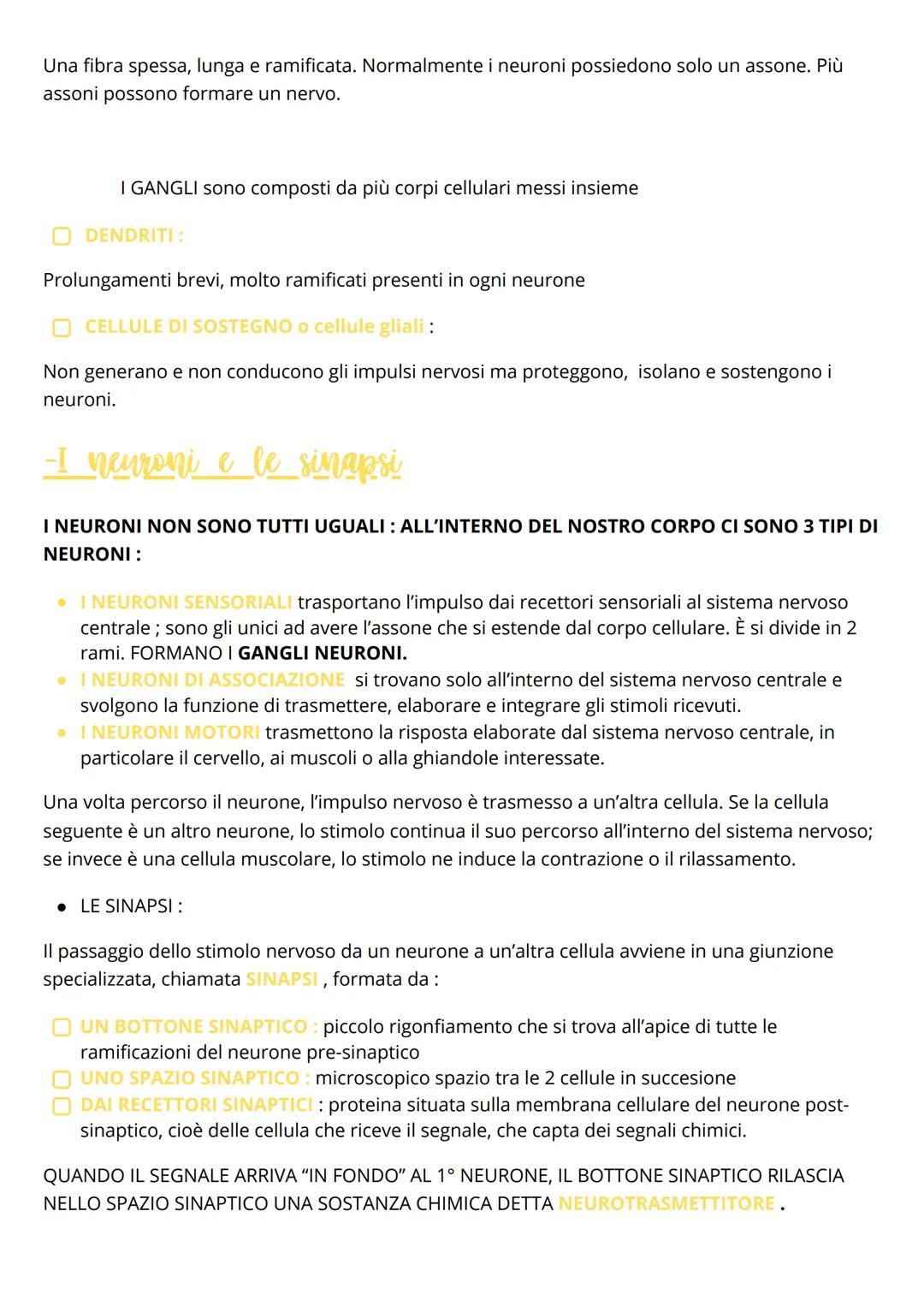 Il sistema nervoso
Il sistema nervoso centrale
Gli stimoli raccolti dai recettori sensoriali, sono inviati sotto forma di IMPULSI NERVOSI al