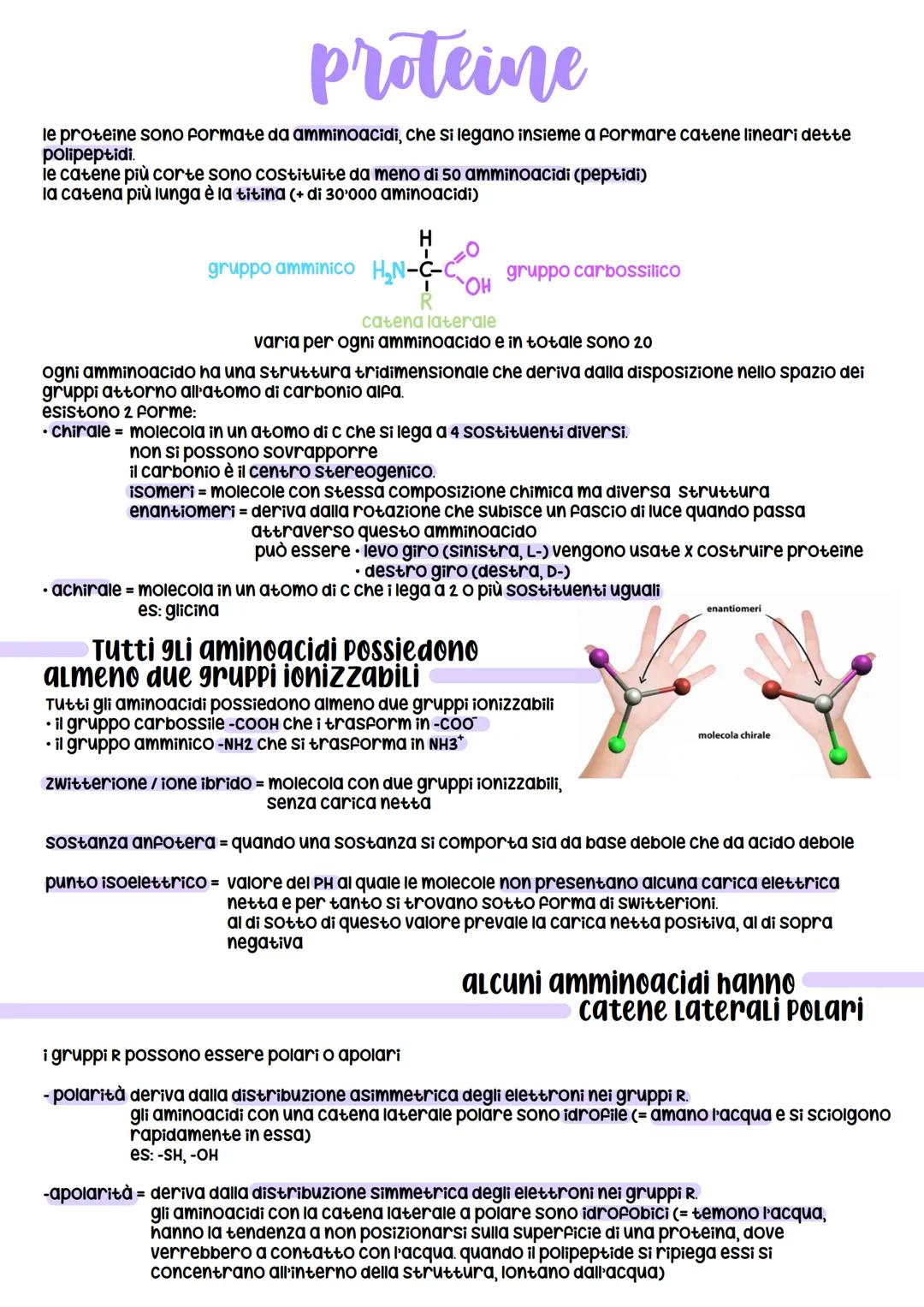 # proteine
le proteine sono formate da amminoacidi, che si legano insieme a formare catene lineari dette
polipeptidi.
le catene più corte s