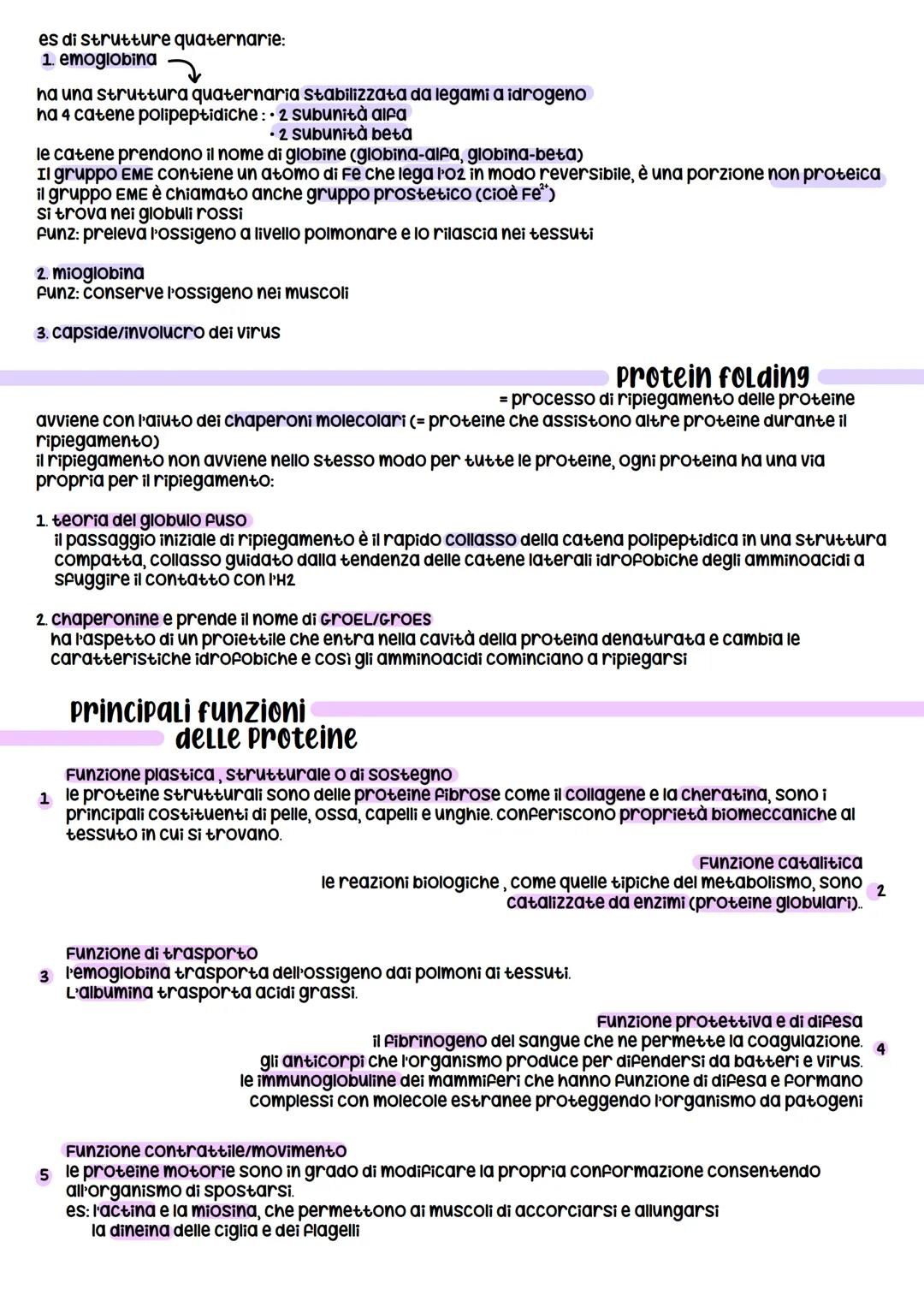 # proteine
le proteine sono formate da amminoacidi, che si legano insieme a formare catene lineari dette
polipeptidi.
le catene più corte s