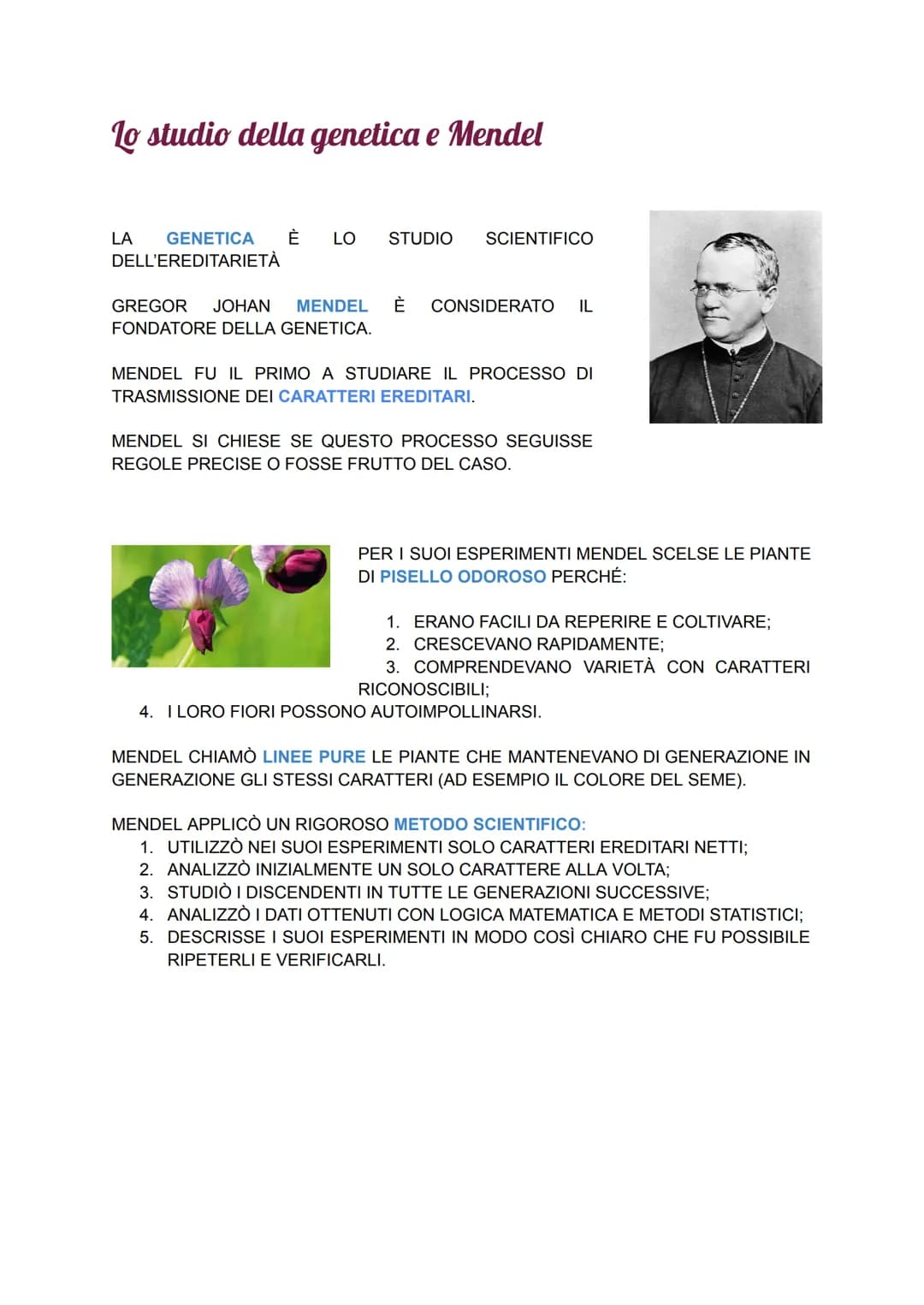 # Lo studio della genetica e Mendel
LA GENETICA È LO STUDIO SCIENTIFICO
DELL'EREDITARIETÀ
GREGOR JOHAN MENDEL È CONSIDERATO IL
FONDATORE D