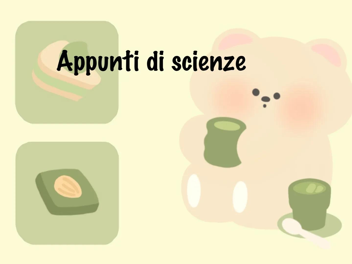 Appunti di scienze LE SOSTANZE
possono subire
Appunti
Scienze
TRASFORMAZIONI
FISICHE
(passaggi di stato)
che non cambiano
la natura delle so