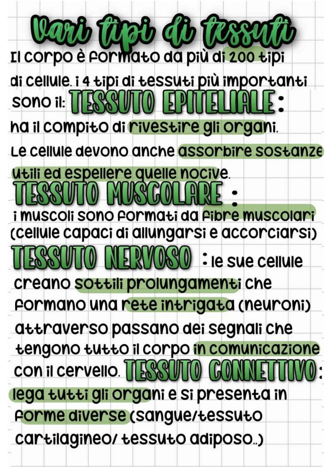 # vari tipi di tessuti
Il corpo รจ formato da piรน di 200 tipi
di cellule. i 4 tipi di tessuti piรน importanti
sono il: TESSUTO EPITELIALE:
ha