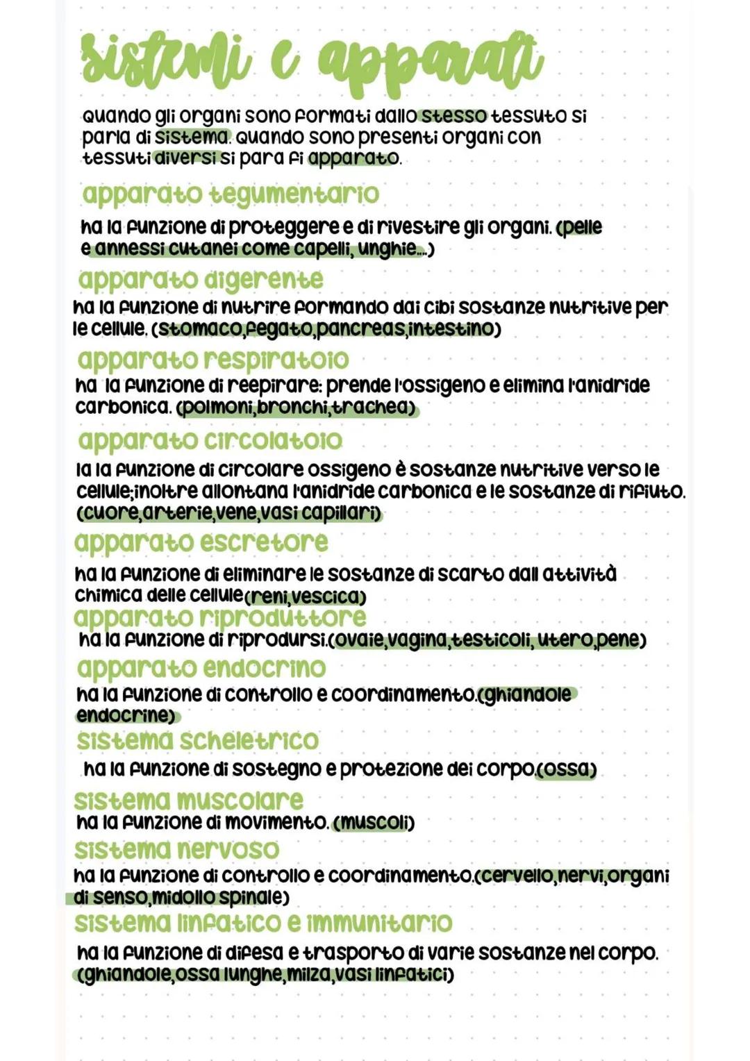 # vari tipi di tessuti
Il corpo รจ formato da piรน di 200 tipi
di cellule. i 4 tipi di tessuti piรน importanti
sono il: TESSUTO EPITELIALE:
ha