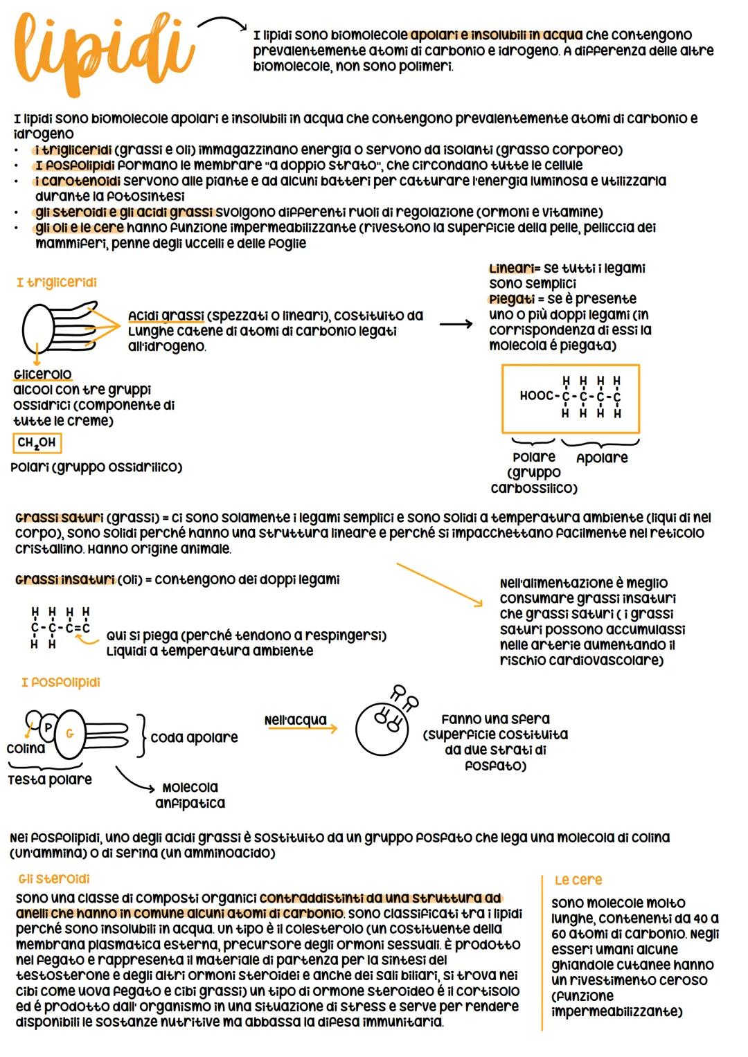 # Biomolecole
Le biomolecole sono le molecole della vita e
sono le proteine, i carboidrati, i lipidi e gli acidi
nucleici
La loro caratter