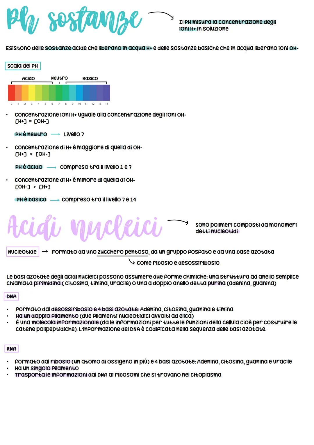 # Biomolecole
Le biomolecole sono le molecole della vita e
sono le proteine, i carboidrati, i lipidi e gli acidi
nucleici
La loro caratter