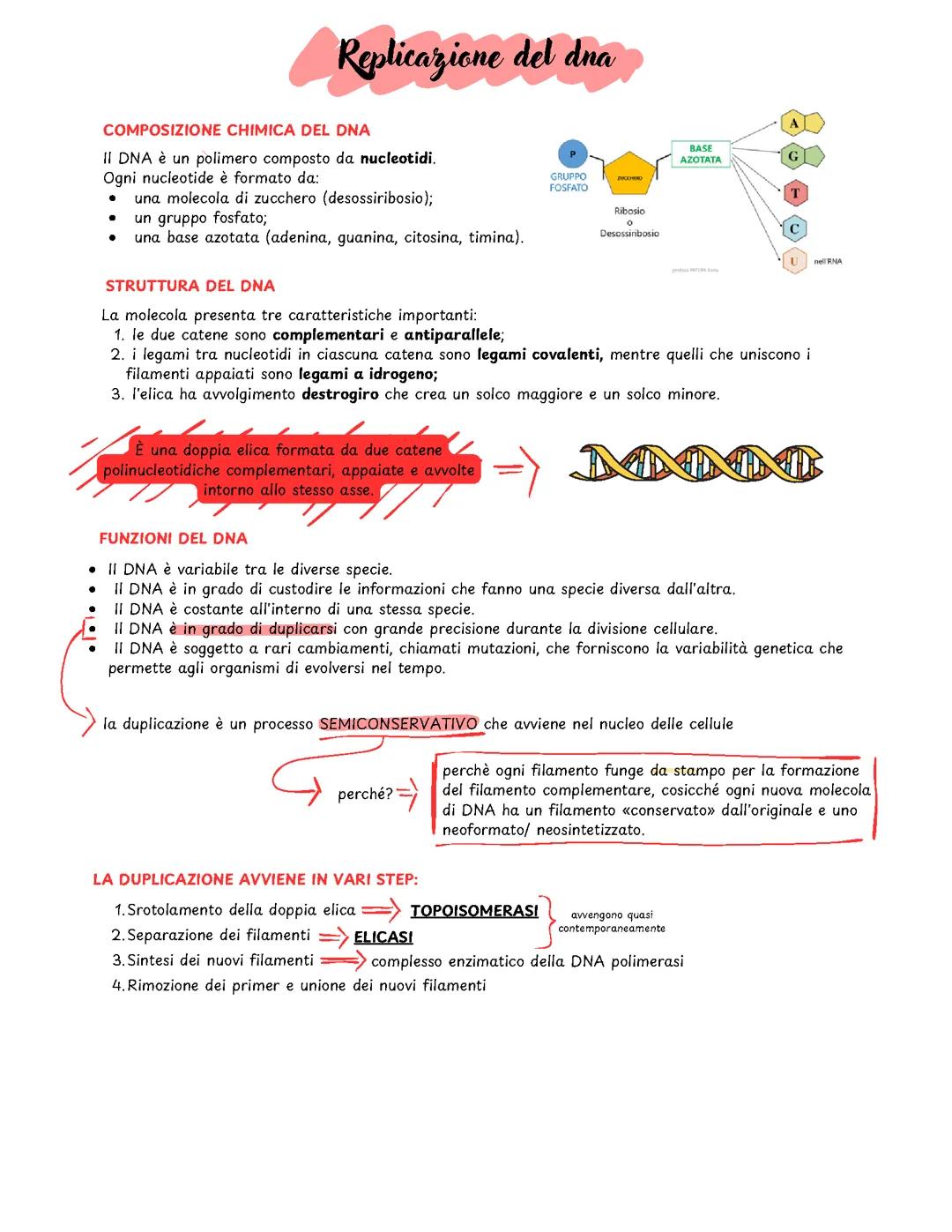 La replicazione del DNA