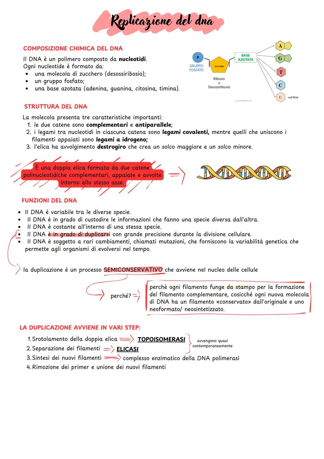 Replicazione del dna
COMPOSIZIONE CHIMICA DEL DNA
II DNA è un polimero composto da nucleotidi.
Ogni nucleotide è formato da:
•
una molecola