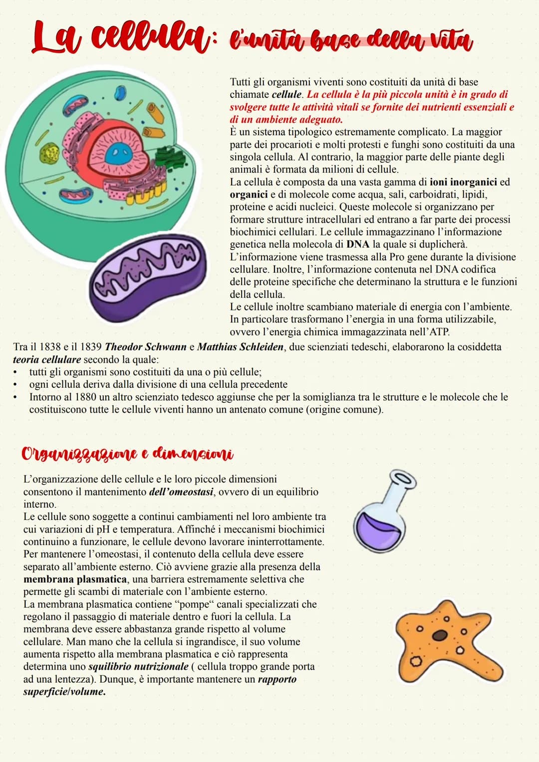 # Biología
De Micco Sara La cellula: l'unita base della vita
Tutti gli organismi viventi sono costituiti da unità di base
chiamate cellule.