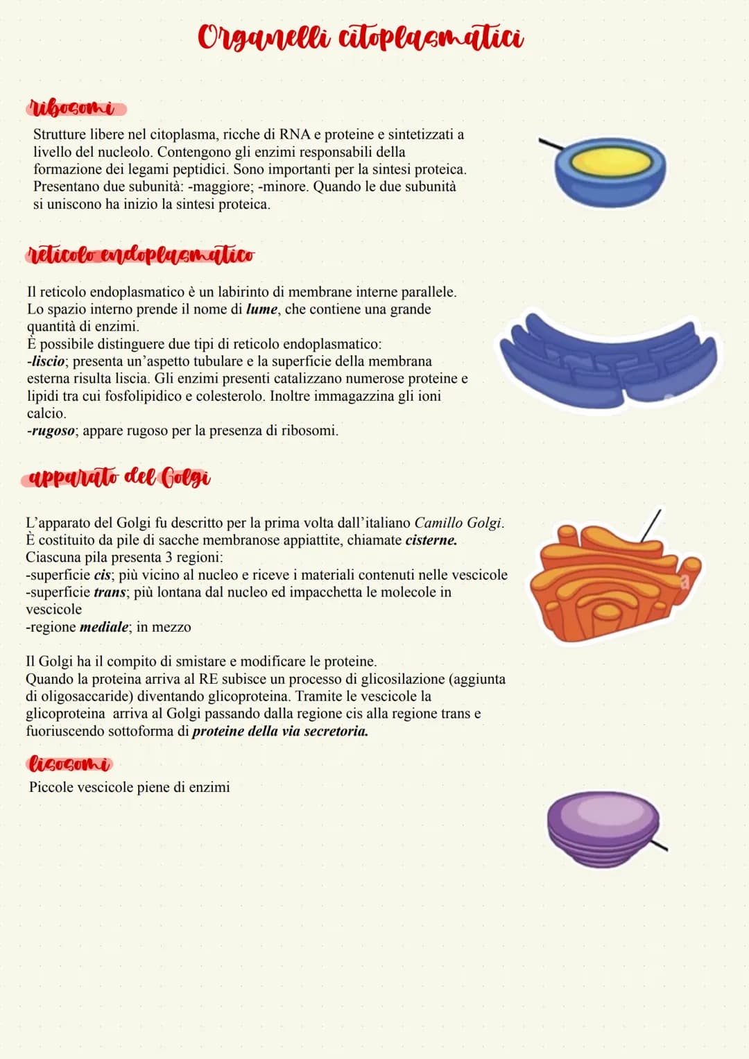 # Biología
De Micco Sara La cellula: l'unita base della vita
Tutti gli organismi viventi sono costituiti da unità di base
chiamate cellule.