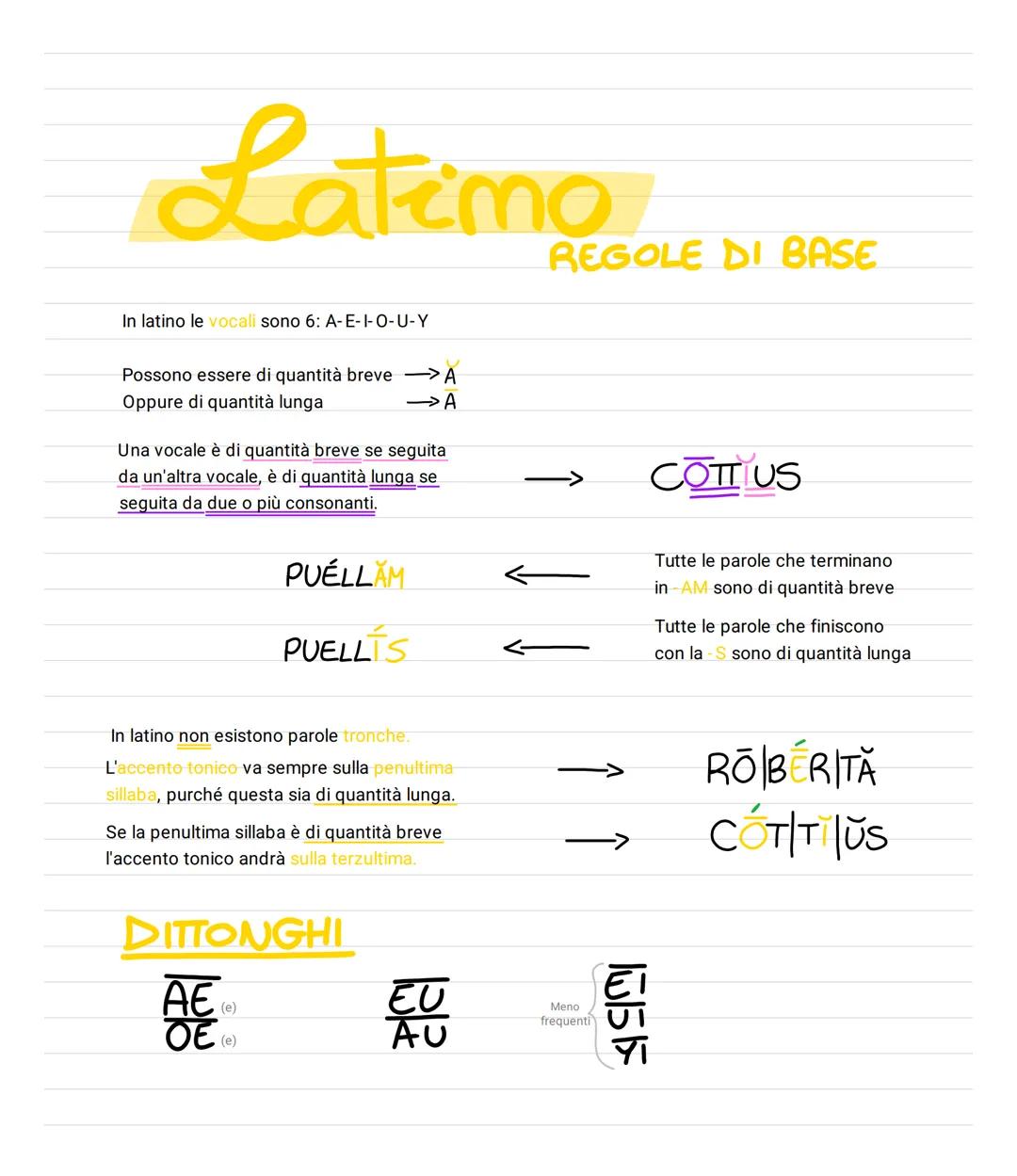 Latemo
REGOLE DI BASE
In latino le vocali sono 6: A-E-I-O-U-Y
Possono essere di quantità breve -> A
Oppure di quantità lunga
→A
Una vocale è