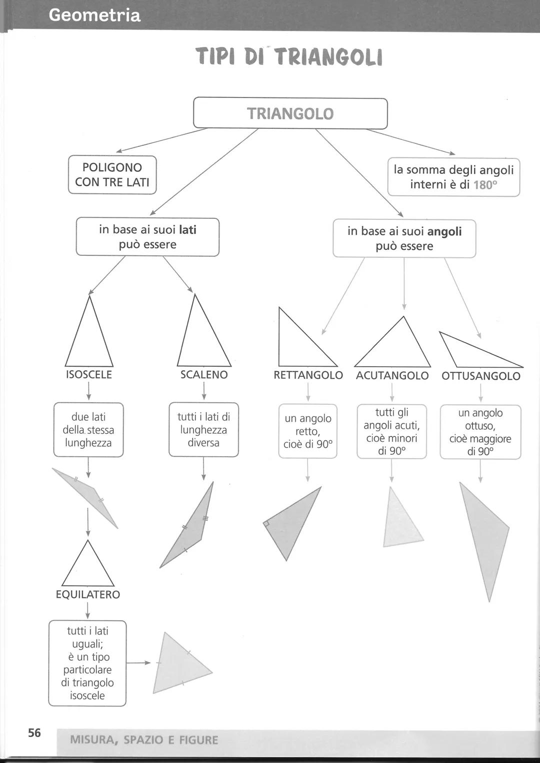 56
Geometria
TIPI DI TRIANGOLI
POLIGONO
CON TRE LATI
TRIANGOLO
la somma degli angoli
interni è di 180°
in base ai suoi lati
può essere
in ba