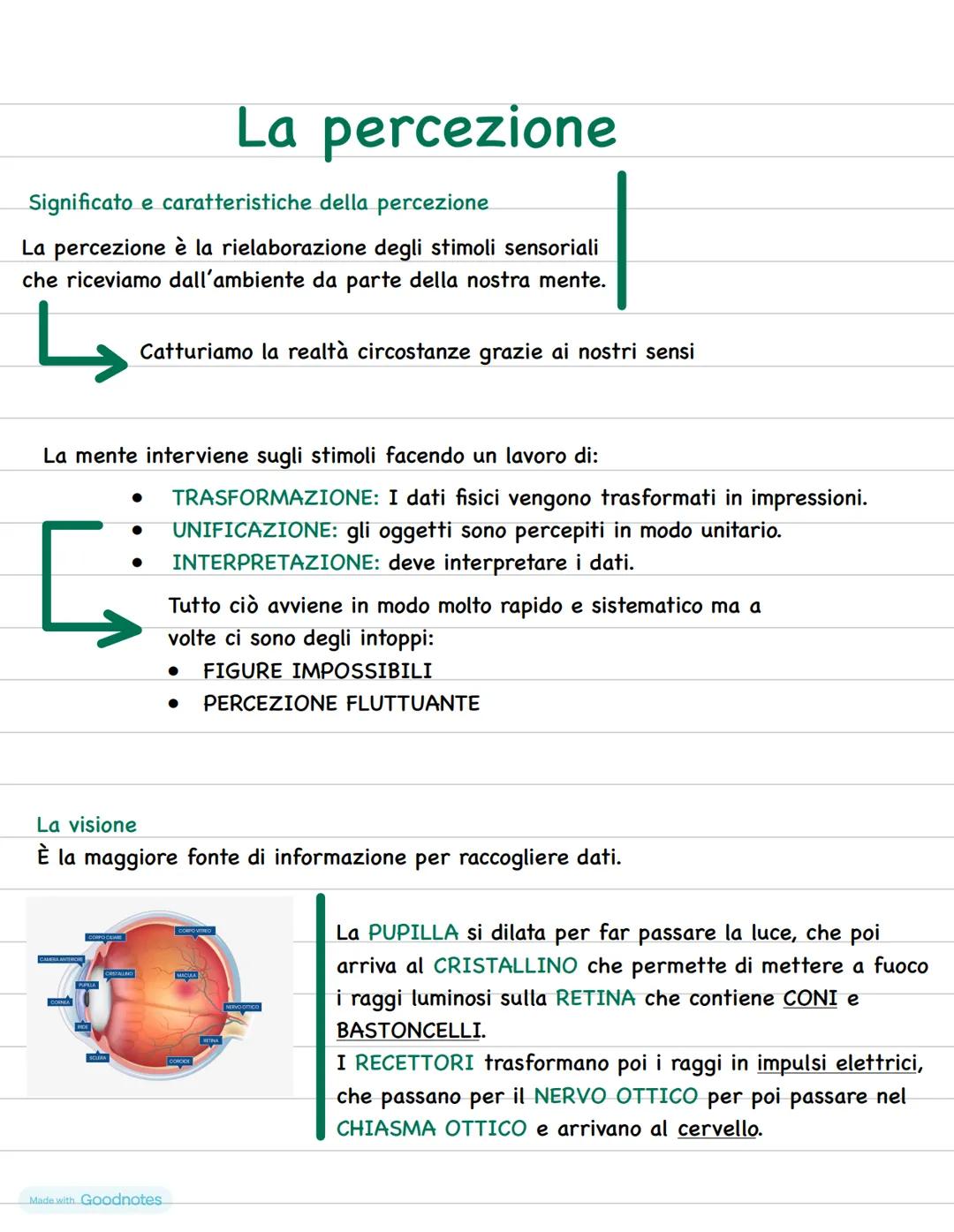 La percezione
Significato e caratteristiche della percezione
La percezione è la rielaborazione degli stimoli sensoriali
che riceviamo dall'a