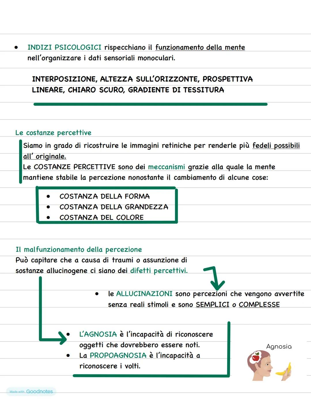 La percezione
Significato e caratteristiche della percezione
La percezione è la rielaborazione degli stimoli sensoriali
che riceviamo dall'a