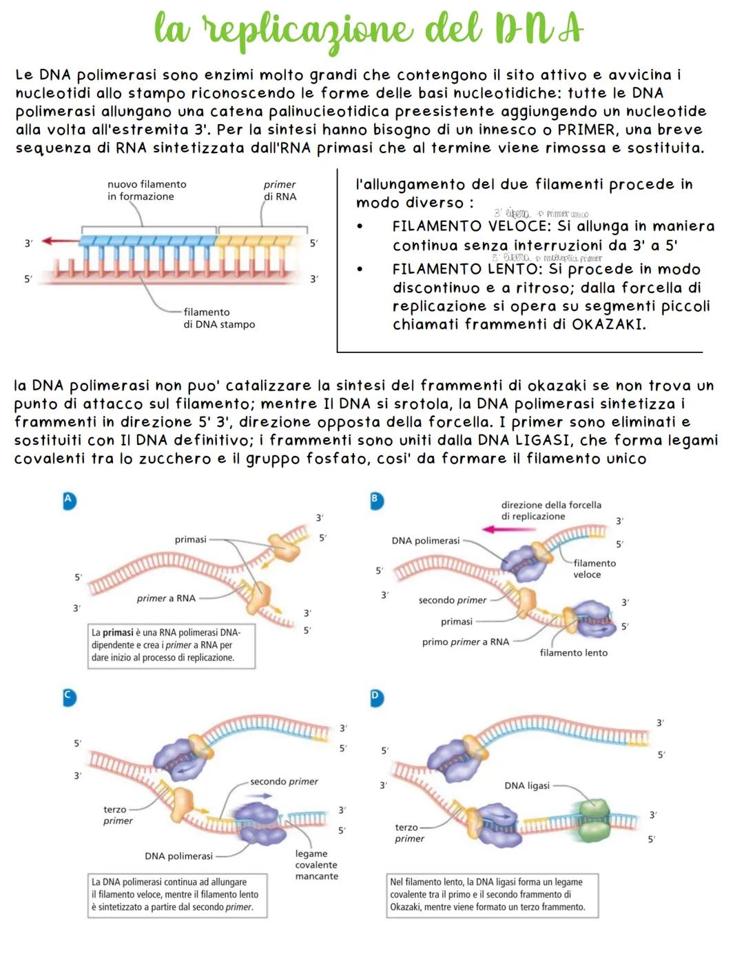 # la scoperta del DNA
Friedrich Miesher - Federick Griffith - Oswald Avery - Hershey e Chase
Friedrich Misher con l'estrazione di globuli