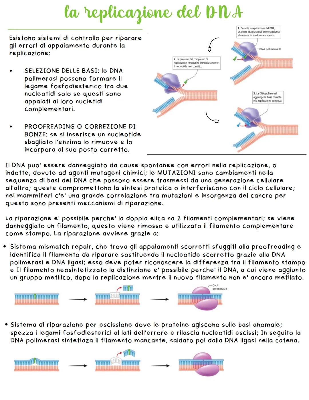 # la scoperta del DNA
Friedrich Miesher - Federick Griffith - Oswald Avery - Hershey e Chase
Friedrich Misher con l'estrazione di globuli