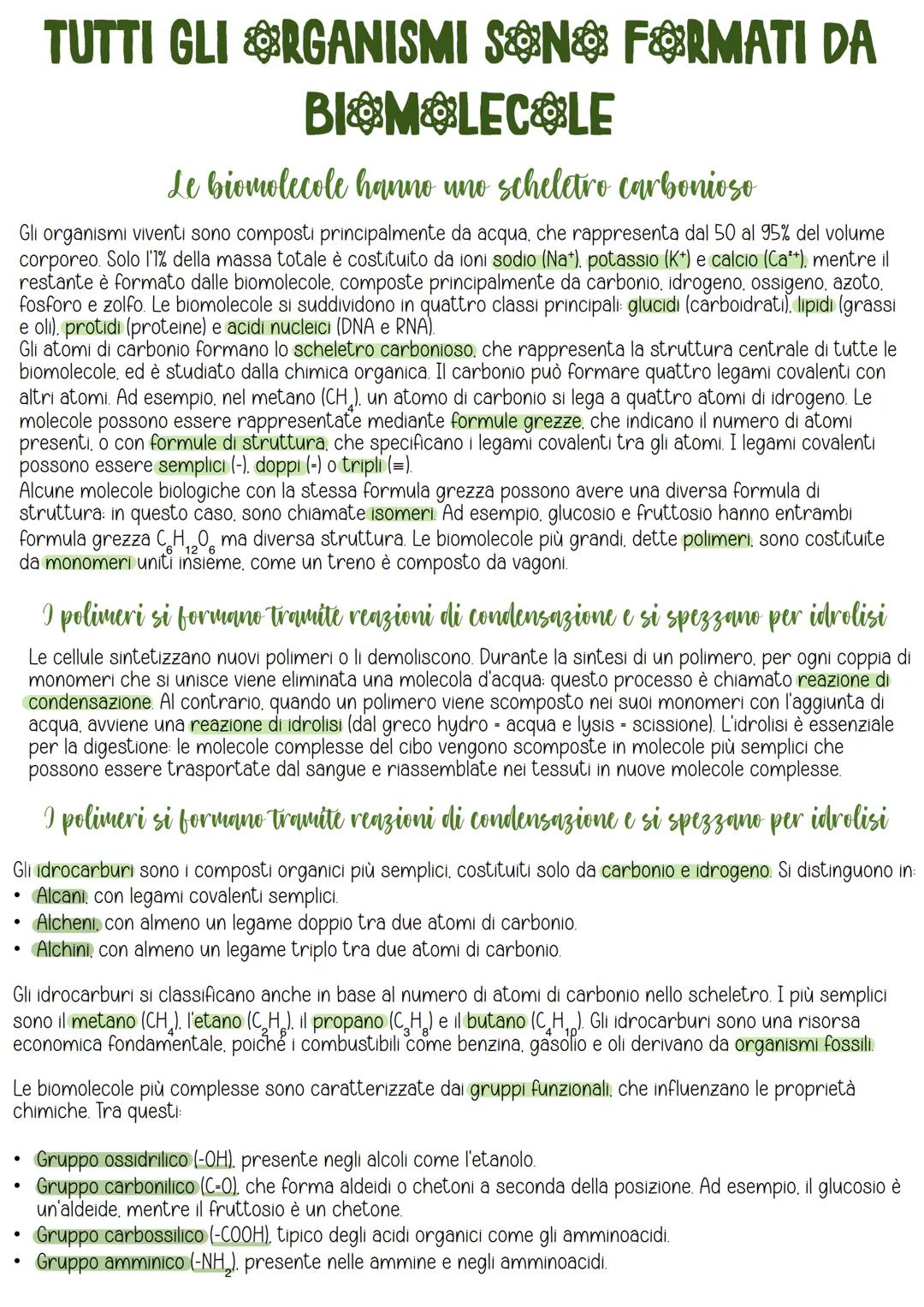 # GLI ATOMI E I LEGAMI CHIMICI
Gli atomi sono le strutture di base della materia
Gli atomi sono le unità fondamentali della materia, cioè